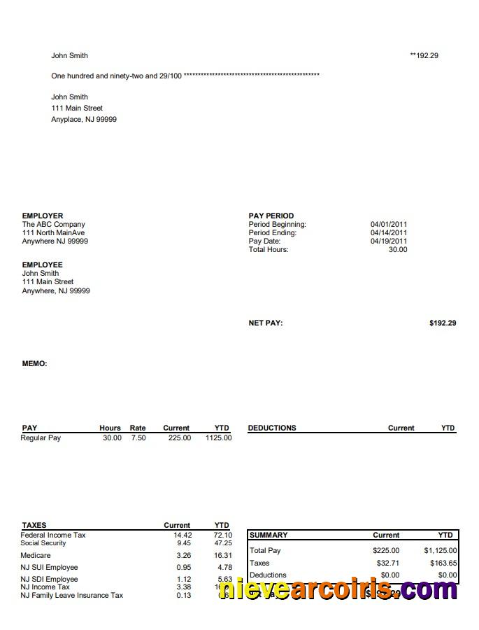 North Main Avenue Pay Stub